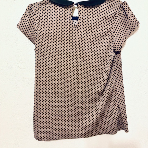 Julie's Closet Black Tan Polka Dot Blouse Peter Pan collar size XL EUC - Picture 4 of 6